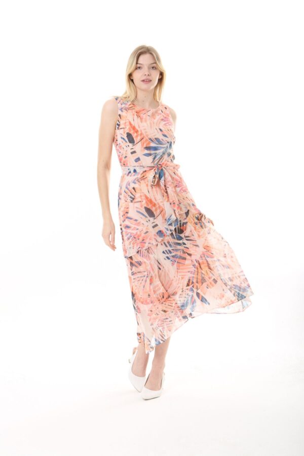 Front Frill Chiffon Slevles Dress