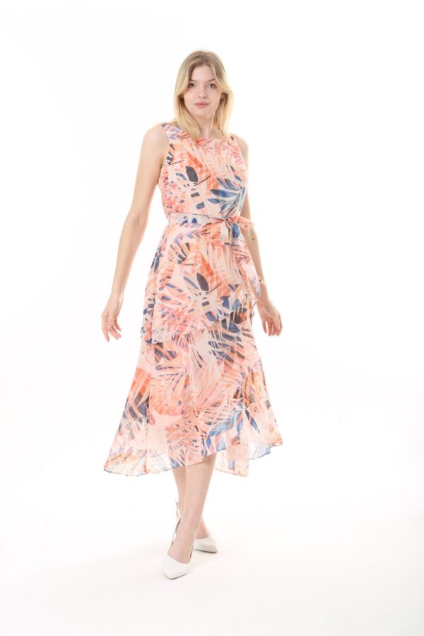 Front Frill Chiffon Slevles Dress