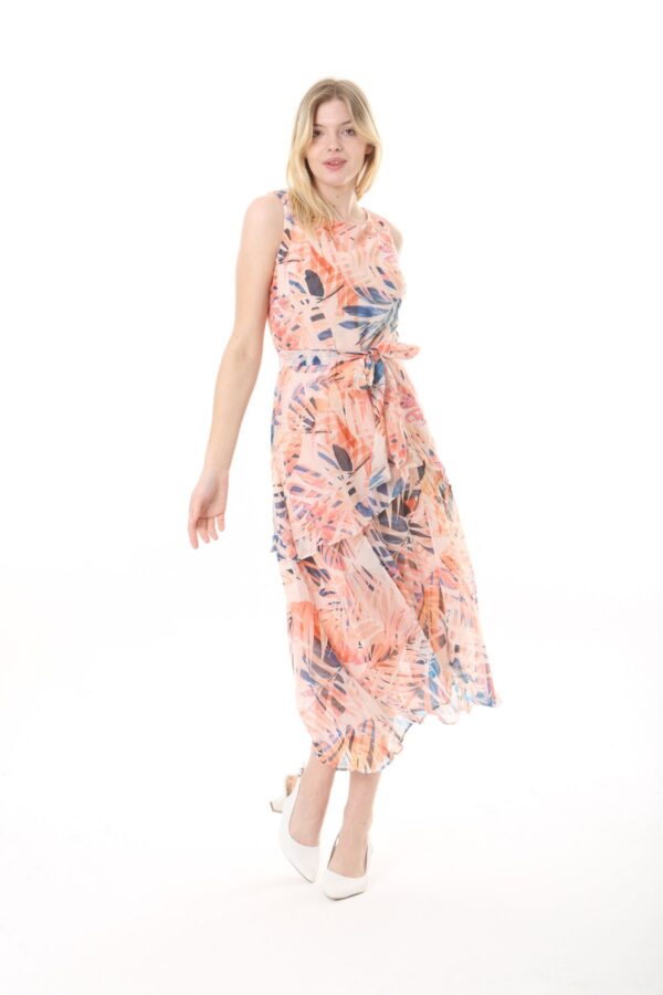 Front Frill Chiffon Slevles Dress