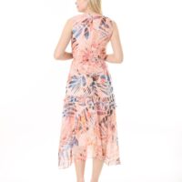 Front Frill Chiffon Slevles Dress